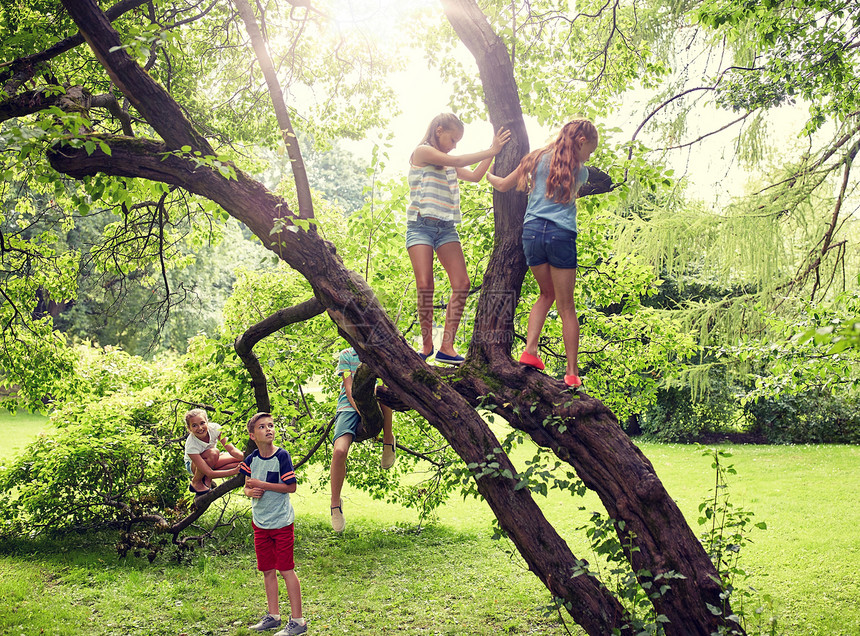 友谊,童年,休闲人的群快乐的孩子或朋友爬上树,夏天的公园里玩得开心快乐的孩子们夏天的公园里爬上树图片
