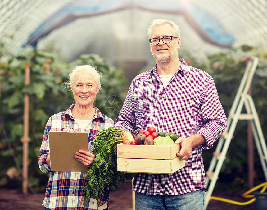 农业,园艺,收获人的资深夫妇与盒蔬菜剪贴板农场温室老夫妇带着盒蔬菜农场图片