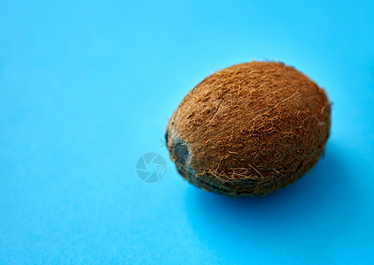 成熟椰子图片