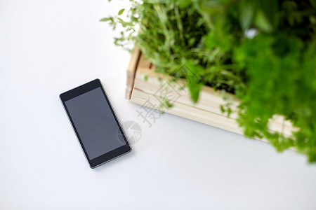 园艺,植物有机智能手机与草药花木箱桌子上智能手机,盒子里有草药鲜花背景图片