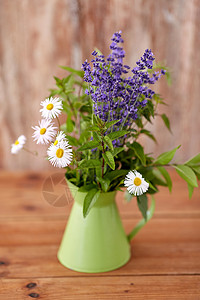 园艺,植物有机束草药花绿色水壶桌子上桌子上绿色水壶里的束草药花背景图片