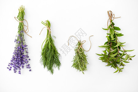 园艺,民族科学有机成群的绿色,香料或草药白色背景白色的绿色香料或草药背景图片
