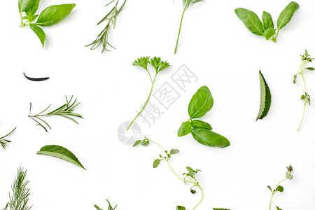 烹饪,调味料有机同的绿色,香料或草药白色背景白色背景上的绿色香料或草药图片