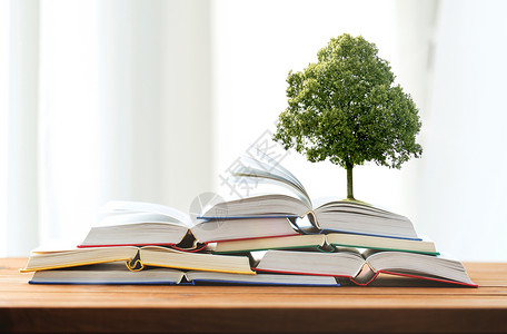 树书教育,学校,文学,阅读知识橡树生长堆书木桌上长木桌上的书上的橡树背景