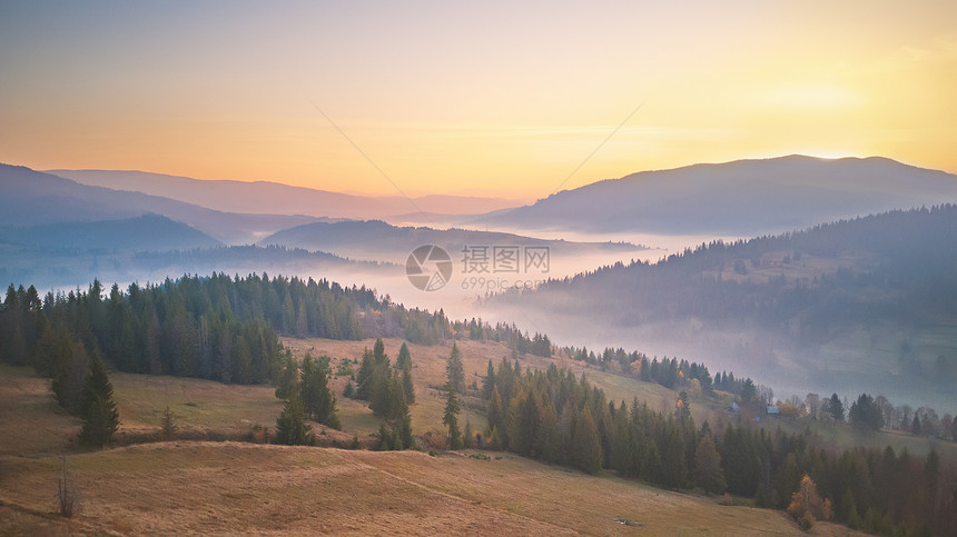 美丽的秋山全景早上雾蒙蒙的林地日出山间雾谷上雾中山上的树乌克兰喀尔巴阡山脉图片