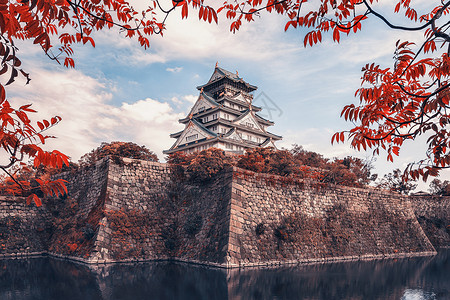 墙历史意义的秋天花园看大阪城堡,大阪,日本日本花园俯瞰大阪城堡背景