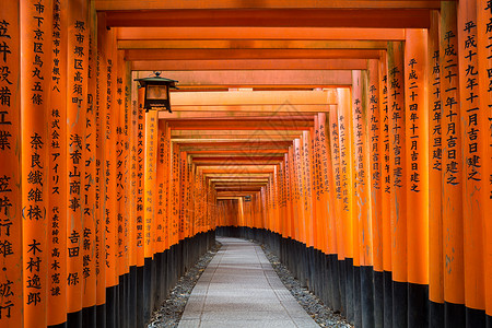 日本京都的FushimiInariTaisha神社的Ver百万托里路径日本京都的FushimiInariTaisha神社背景图片