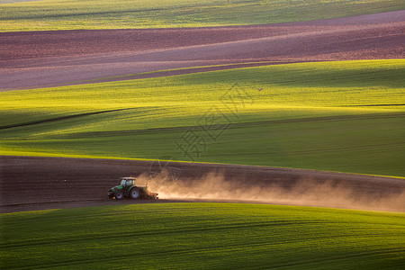 春天,捷克共国南莫拉维亚,犁耕拖拉机上的夕阳光拖拉机春天犁田背景