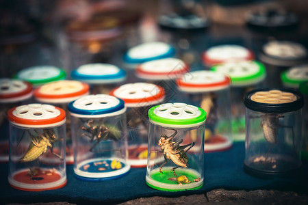 蟋蟀中国搏击板球市场充满昆虫杭州背景