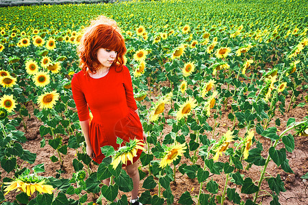 红头发的决心可爱的红头发女人向日葵的田野里享受这天背景