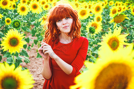 坦率的乐趣可爱的红头发女人向日葵的田野里享受这天背景