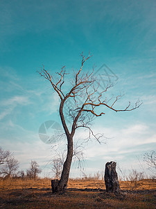 博尔迪安努垂直的乡村大旅行箱高清图片