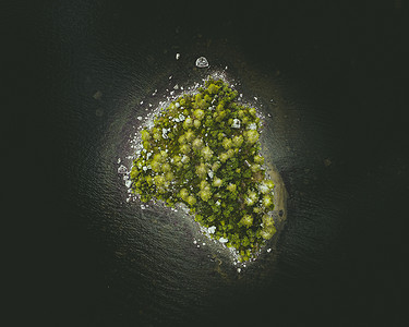 孤独的小岛2图片
