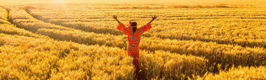 非洲妇女穿着传统的衣服站着,举起手臂,大麦或小麦作物的田野上,日落或日出时,全景图片