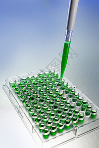 实验室或实验室的环境,带有吸管96井细胞托盘的绿色溶液样品图片