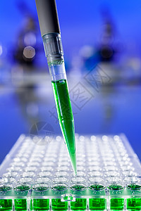 实验室或实验室的环境,用吸管显微镜96个井细胞托盘绿色溶液的样品图片