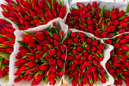 束红色郁金香花花卉市场的花店出售图片