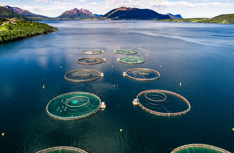 农场鲑鱼捕鱼挪威航空摄影背景图片