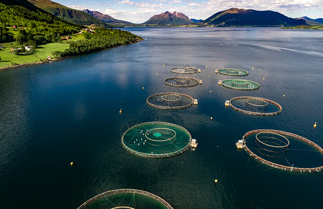 农场鲑鱼捕鱼挪威航空摄影图片