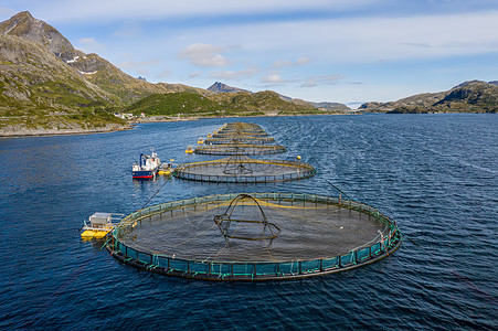 海岸素材网挪威农场鲑鱼捕鱼挪威世界上最大的养殖鲑鱼生产国,每年生产超过100万吨背景