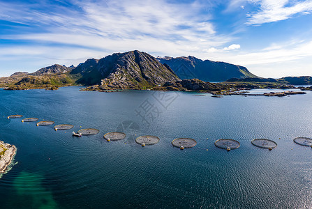 水产行业挪威农场鲑鱼捕鱼挪威世界上最大的养殖鲑鱼生产国,每年生产超过100万吨背景