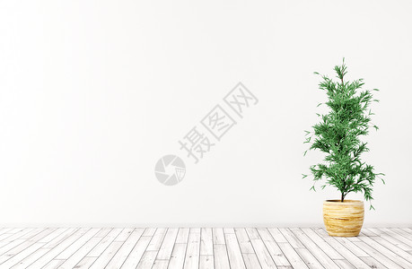 室内背景白色墙壁,木地板绿色室内植物3D渲染图片