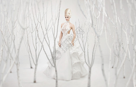 白色果园里美丽的冬天女王图片