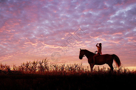 年轻漂亮的女人草地上骑马图片