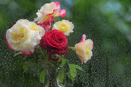 束玫瑰花洒窗户的背景上图片