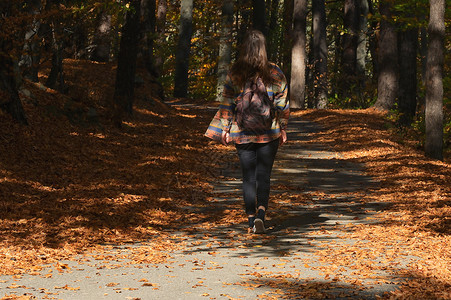 超高密度个带着背包的年轻女孩正穿过秋天的森林背景