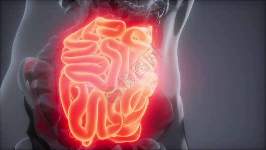 人体小肠发光的科学解剖扫描人体小肠放射学检查背景图片