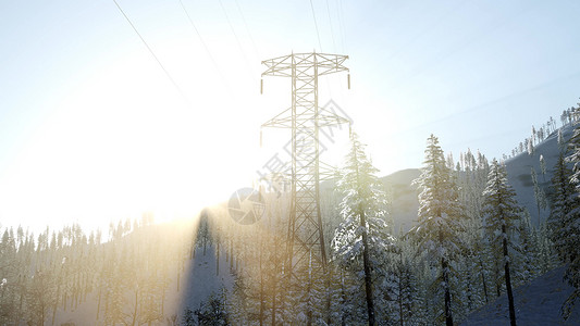 日出时的电力线雪覆盖的森林里图片
