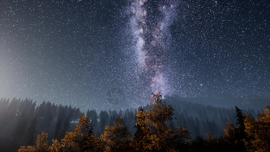 松树森林之上的银河背景图片