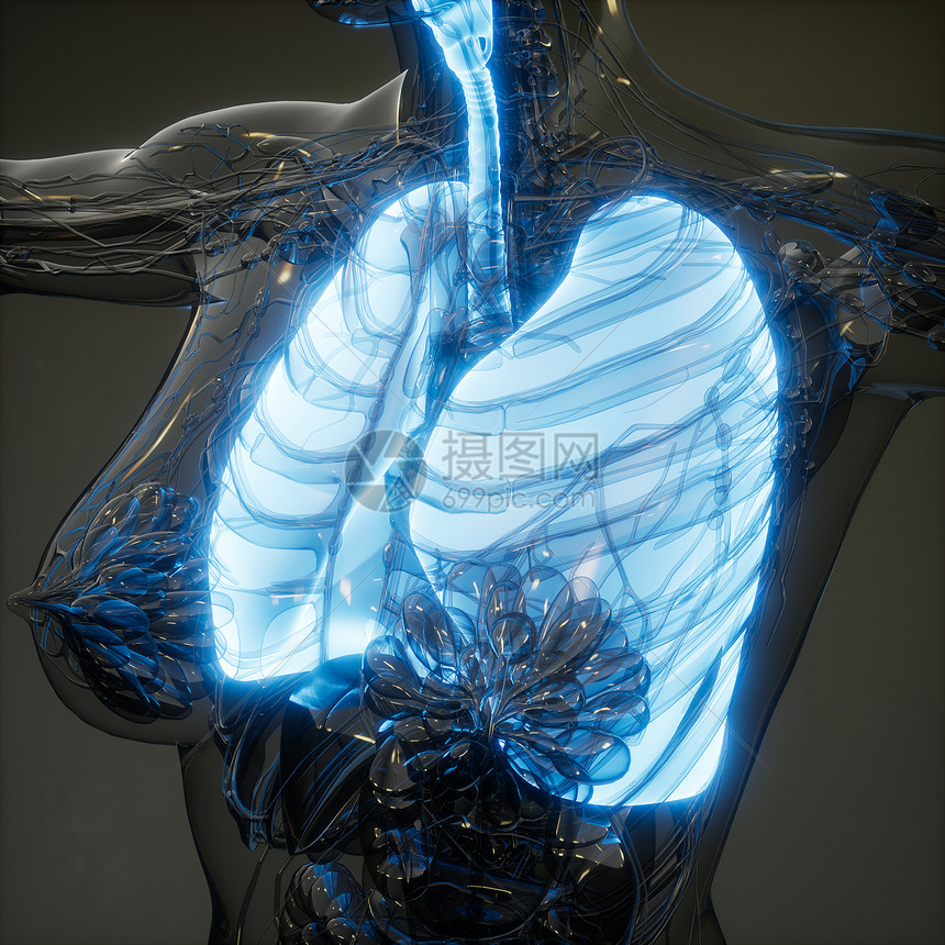 人体肺发光的科学解剖扫描人类肺部放射学检查图片