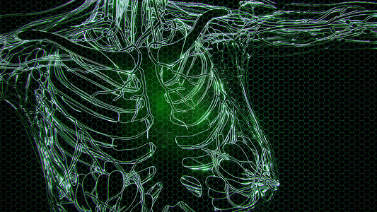 骨骼X射线人体的科学解剖学透明的人体,有可见的骨头图片