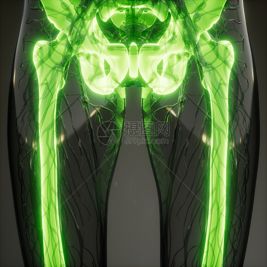 人体骨骼的医学科学形象透明的人体,有可见的骨头图片
