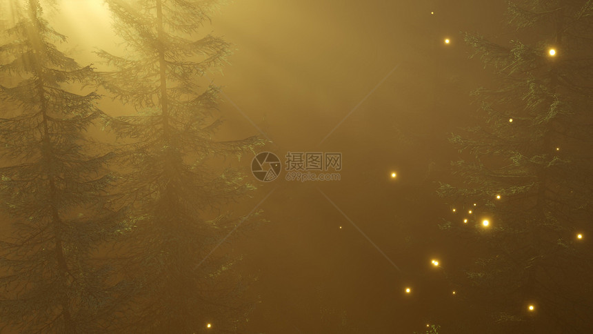 夜晚闪耀的神奇森林充满火花的神奇森林图片