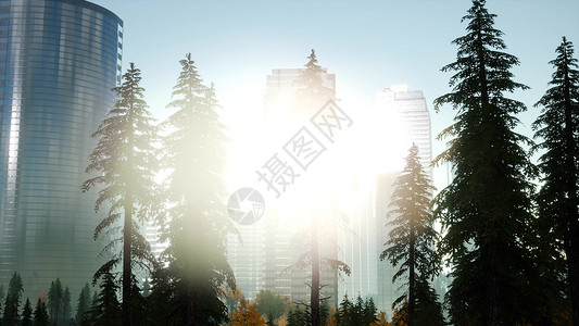 日落时分的摩天大楼公园的树木图片