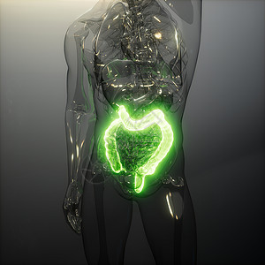 人类结肠发光的科学解剖扫描人类结肠放射学检查背景图片