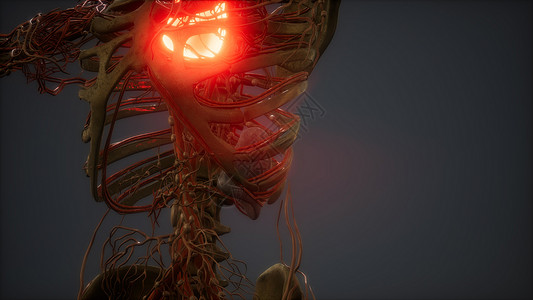 病态人类心脏的CG动画背景图片