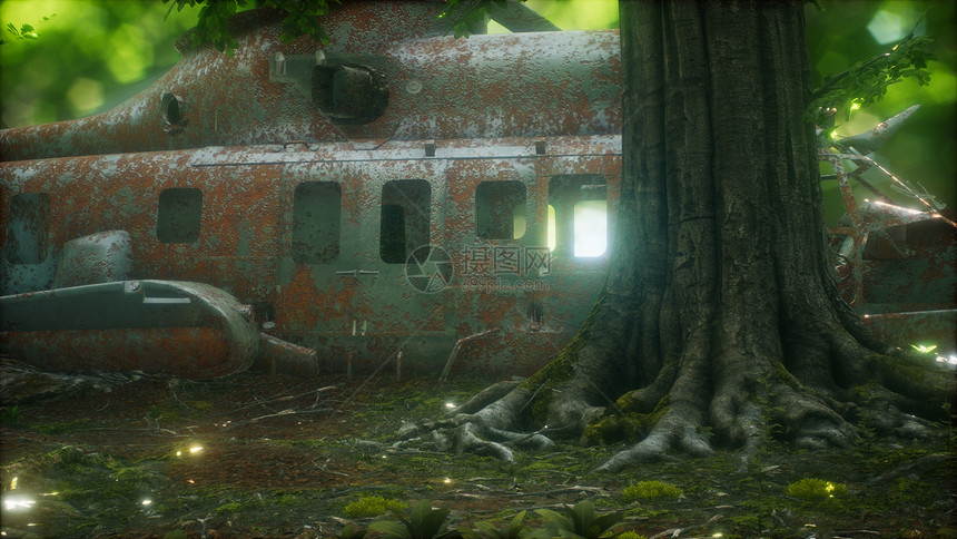 森林里老旧生锈的直升机图片
