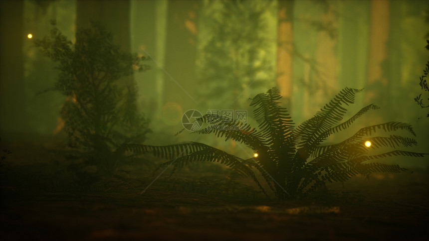 雾蒙蒙的森林里的萤火虫图片
