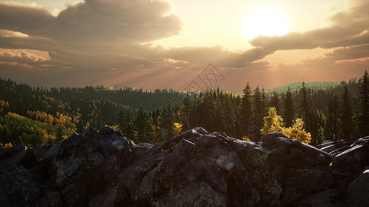 日落时山景中的夏季森林山景中的夏季森林图片