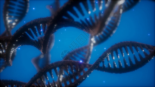 结构的DNA双螺旋动画,DNA分子生物逻辑片段的DNA双螺旋动画的结构图片