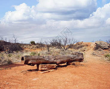 帕洛杜罗峡谷州立公园的木凳图片