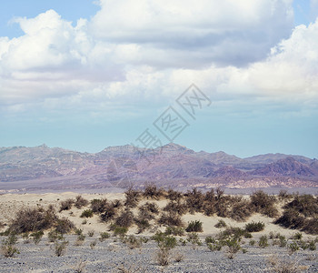 梅斯基特美国加利福尼亚州死亡谷公园的梅斯奎特沙丘背景