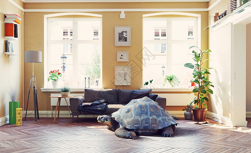 客厅里的巨龟照片媒体创意光电结合背景图片