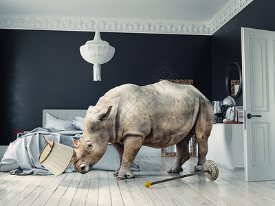 豪华卧室野生犀牛照片媒体混合创意图片