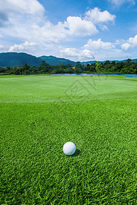 高尔夫球高于绿色的热带球场上午热带球场的高尔夫球图片