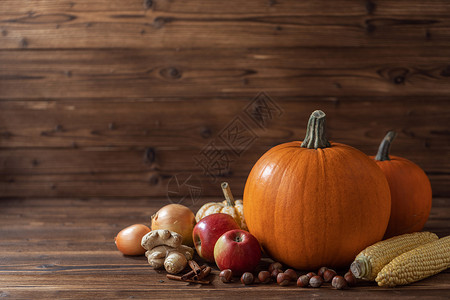 秋收静物用南瓜苹果榛子玉米木制背景上文字木桌上的秋收图片